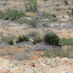 IMG_0134.jpg IMG_0134.jpg