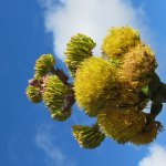 IMG_0006.jpg IMG_0006.jpg