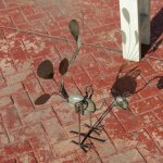 IMG_0039.jpg IMG_0039.jpg