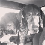 Spot and George. BWjpg.JPG