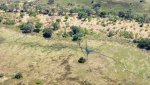 5 Okavango Delta.JPG