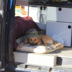 IMG_9913 - Version 2.jpg