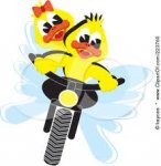 duck motorcycle.jpg