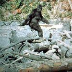 paterson-gimlin-footage-300x300.jpg