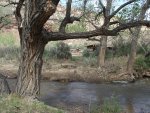 RoubedouxCanyon5-10-2013 056.jpg