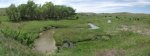 NebraskaSandhillsMay31-June5,2013 407.jpg