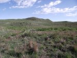NebraskaSandhillsMay31-June5,2013 591.jpg