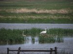 NebraskaSandhillsMay31-June5,2013 456.jpg
