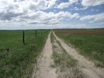 NebraskaSandhillsMay31-June5,2013 633.jpg