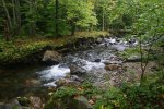 River bank2.jpg