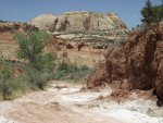 CapitolReefNPGrandStaircaseNMJune14-16, 2013 387.jpg