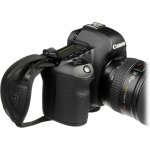 IMG_229081.jpg IMG_229081.jpg