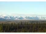 Denali Hwy3.jpg