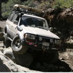 oasis2.JPG oasis2.JPG