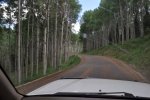 Colorado, 2013 381.jpg