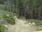 IMG_0968.jpg