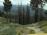 IMG_0966.jpg