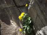 SeanWorland,WYAreaJuly2013 085.jpg