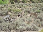 SegoUtahGhostMiningTown8-3-2013 070.jpg