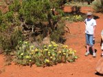 Minn and White Rim2013 081.1.jpg