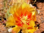 Minn and White Rim2013 083.1.jpg