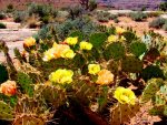 Minn and White Rim2013 093.1.jpg