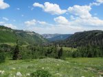 Duck Fork 2013 155.1.jpg