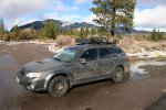 muddyshasta.jpg