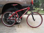IMG_3549 (Small).jpg