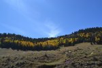 DSC_0742.JPG