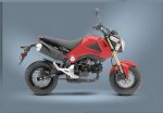 honda-grom-motorcycle-scooter-2013-13.jpg honda-grom-motorcycle-scooter-2013-13.jpg