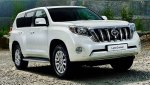2014-Prado-w.jpg