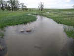 NebraskaSandhillsMay31-June5,2013 137.jpg