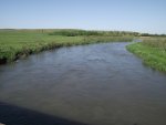 NebraskaSandhillsMay31-June5,2013 478.jpg