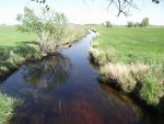 NebraskaSandhillsMay31-June5,2013 548.jpg