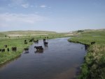 NebraskaSandhillsMay31-June5,2013 579.jpg