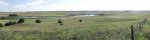 NebraskaSandhills#2July12-16,2013 944.jpg