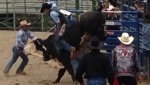 09-15-2013 Rodeo #3.jpg