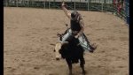 09-15-2013 Rodeo #4.jpg