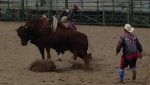 09-15-2013 Rodeo #7.jpg