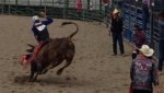 09-15-2013 Rodeo #9.jpg