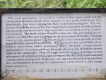 NebraskaSandhills#2July12-16,2013 1042.jpg