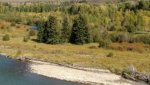 09-19-2013 Teton NP #3.jpg