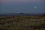 Naked-Outback---West-Coast_20130919_4774.jpg