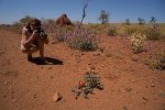 Naked-Outback---West-Coast_20130920_4657.jpg Naked-Outback---West-Coast_20130920_4657.jpg