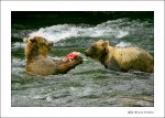 Katmai 13.jpg Katmai 13.jpg