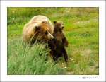 Katmai 16.jpg Katmai 16.jpg
