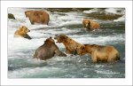 Katmai 25.jpg Katmai 25.jpg