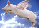 when_pigs_fly0.jpg when_pigs_fly0.jpg