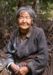 Tibetian Lady.jpg